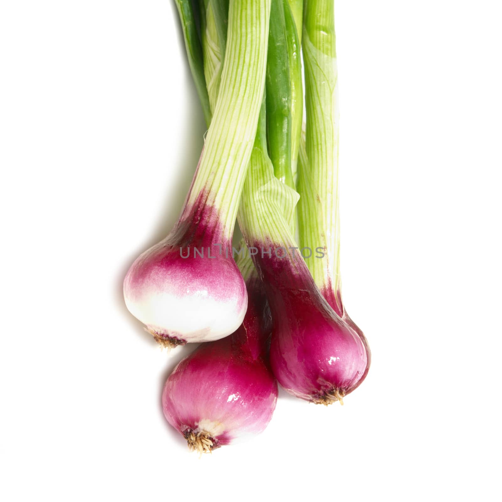 Bunch of young onions isolated on white