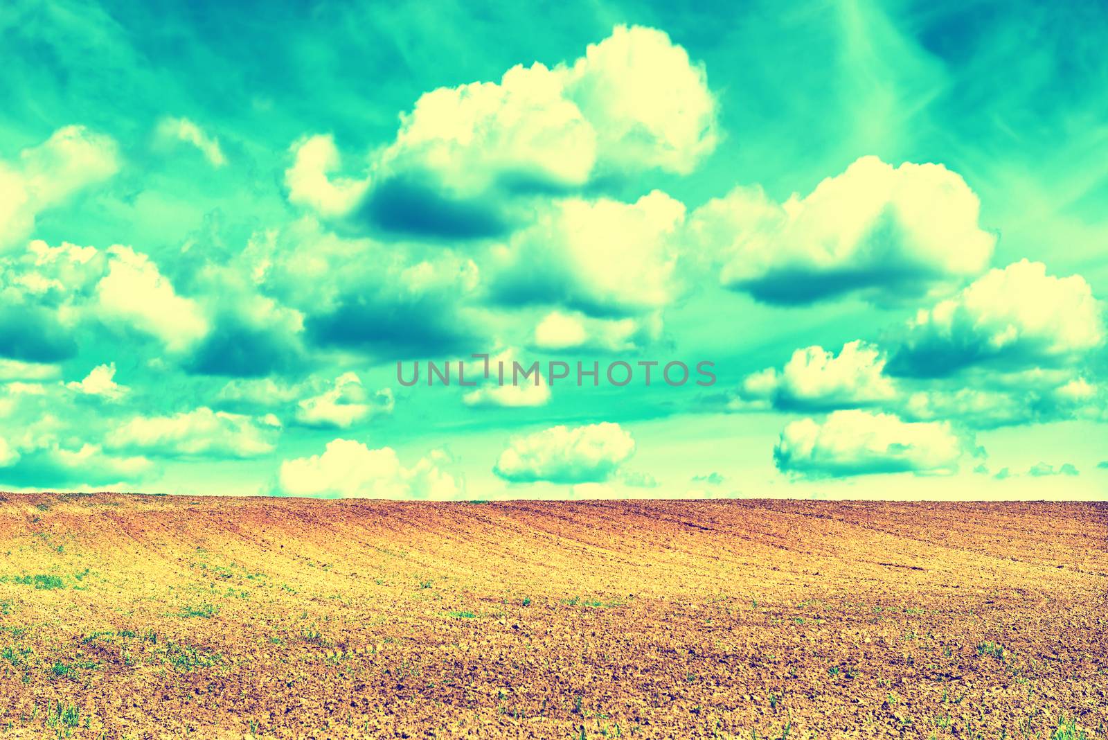 Agriculture field and blue sky with clouds. Instagram filter