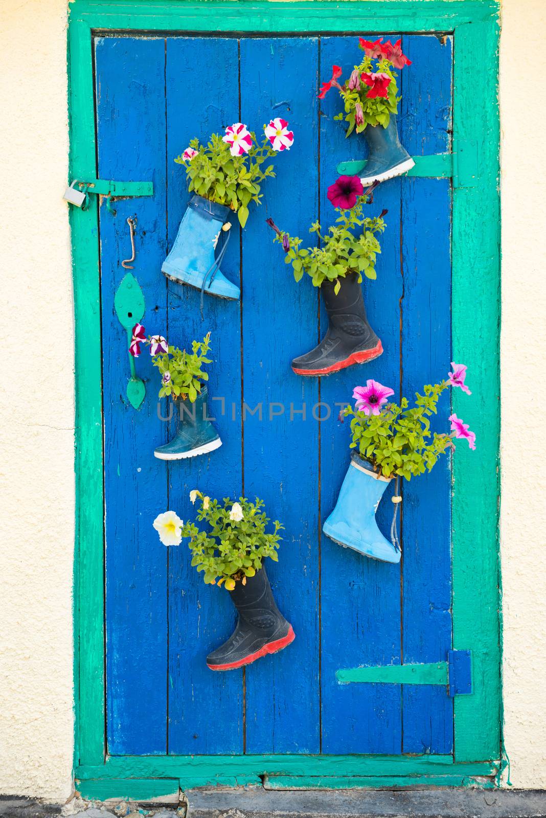 Old rubber boots with blooming flowers by vapi