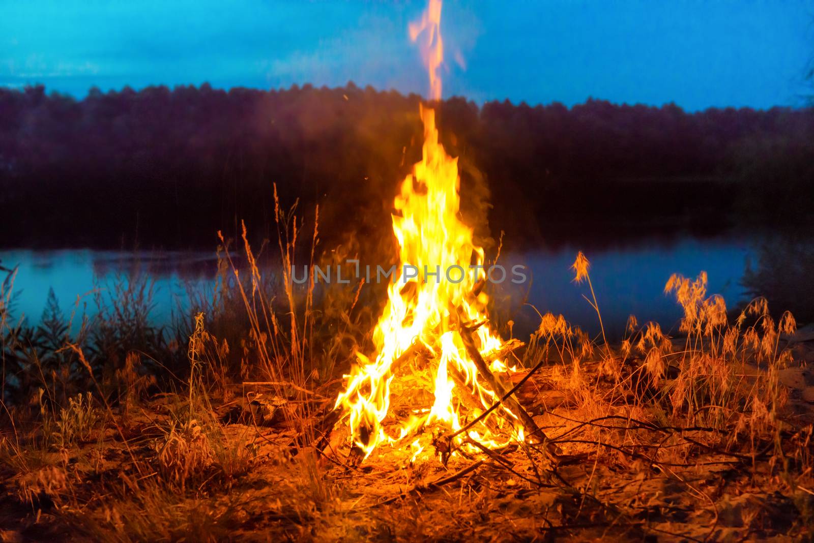 Big campfire at night in the forest under dark blue night sky with many stars