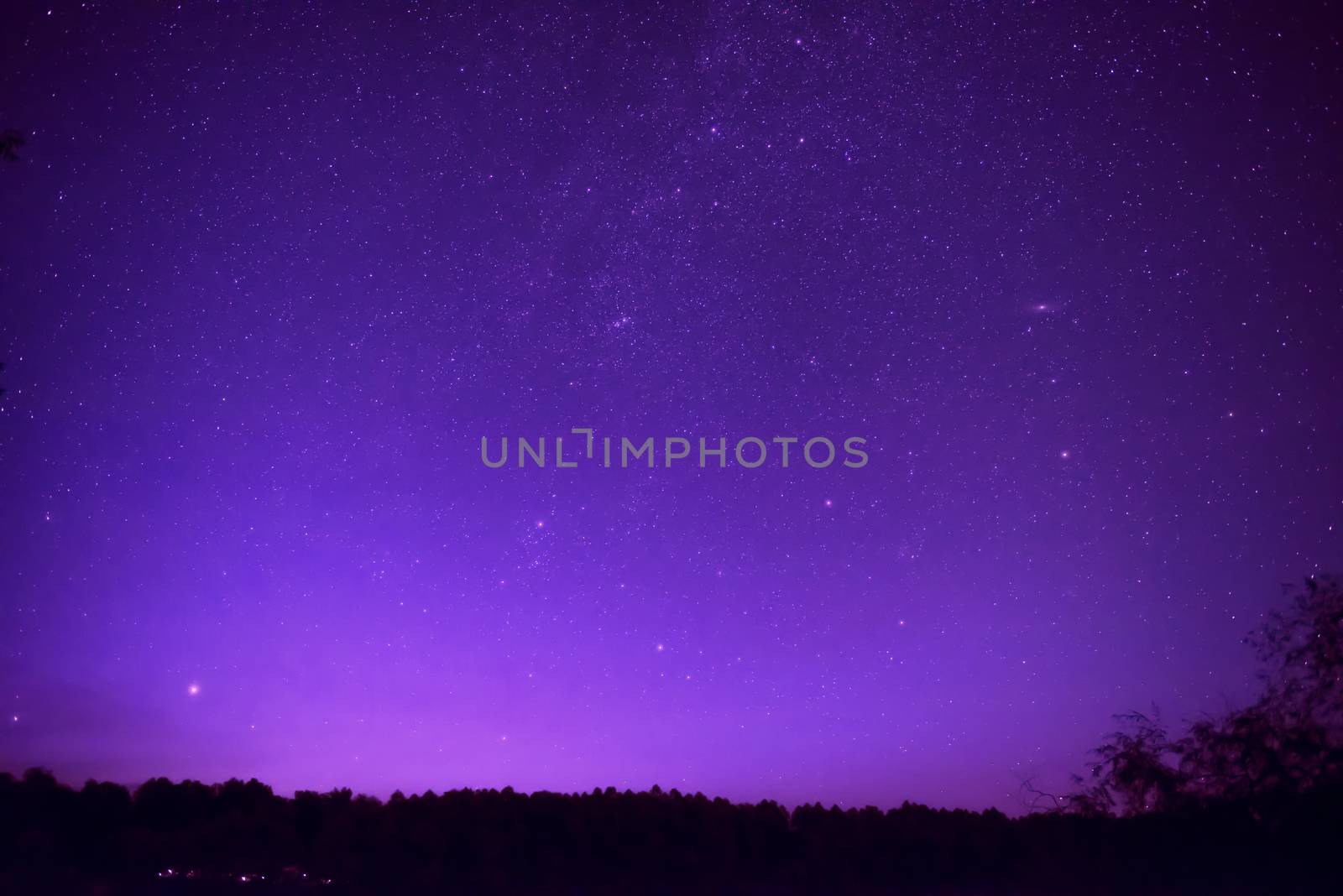 Beautiful purple night sky with many stars above the forest. Milkyway space background