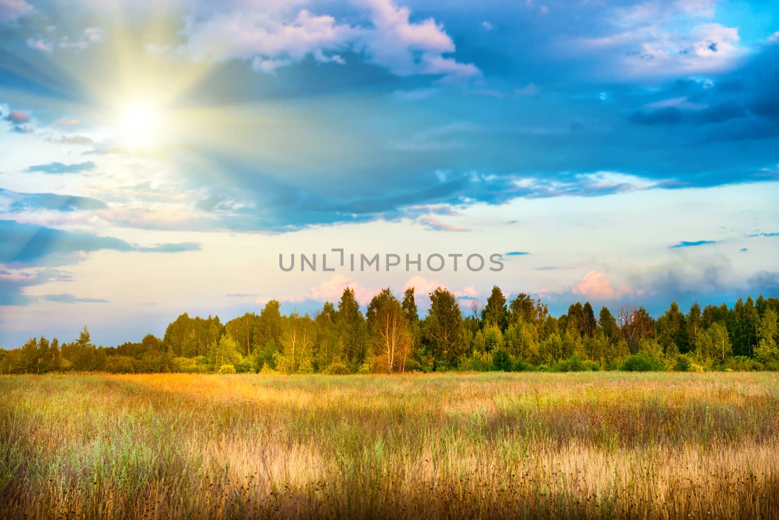 Beautiful field and forest with shining sun at sunset time. Countryside landscape