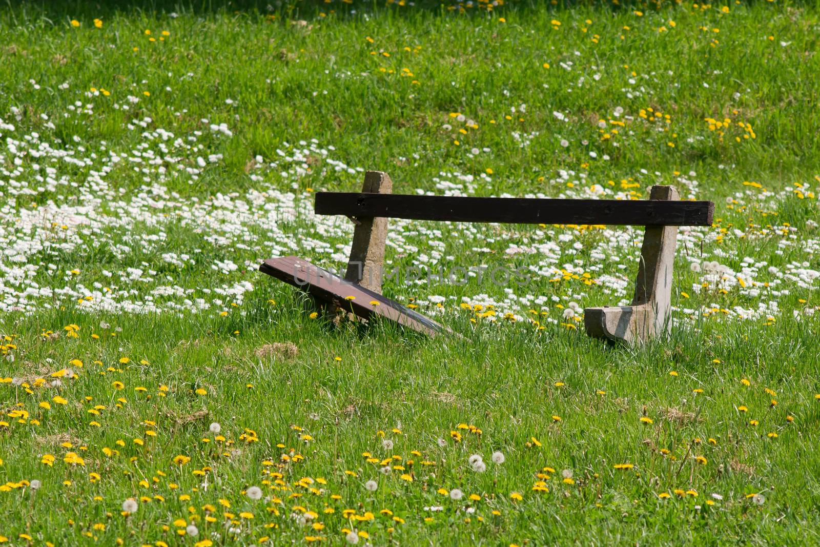 The park is dying of a broken bench.