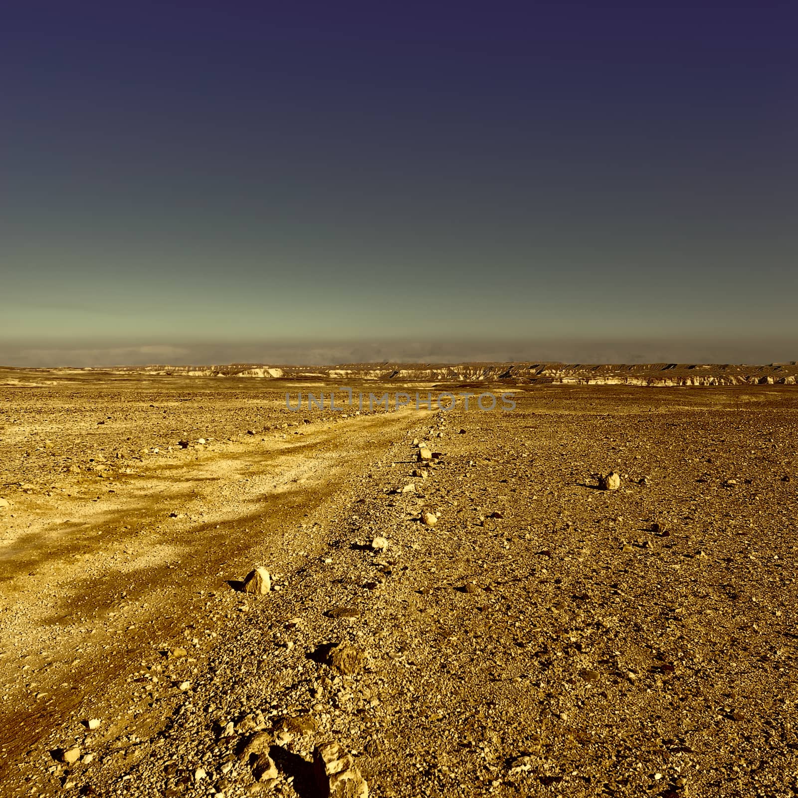 Negev Desert by gkuna