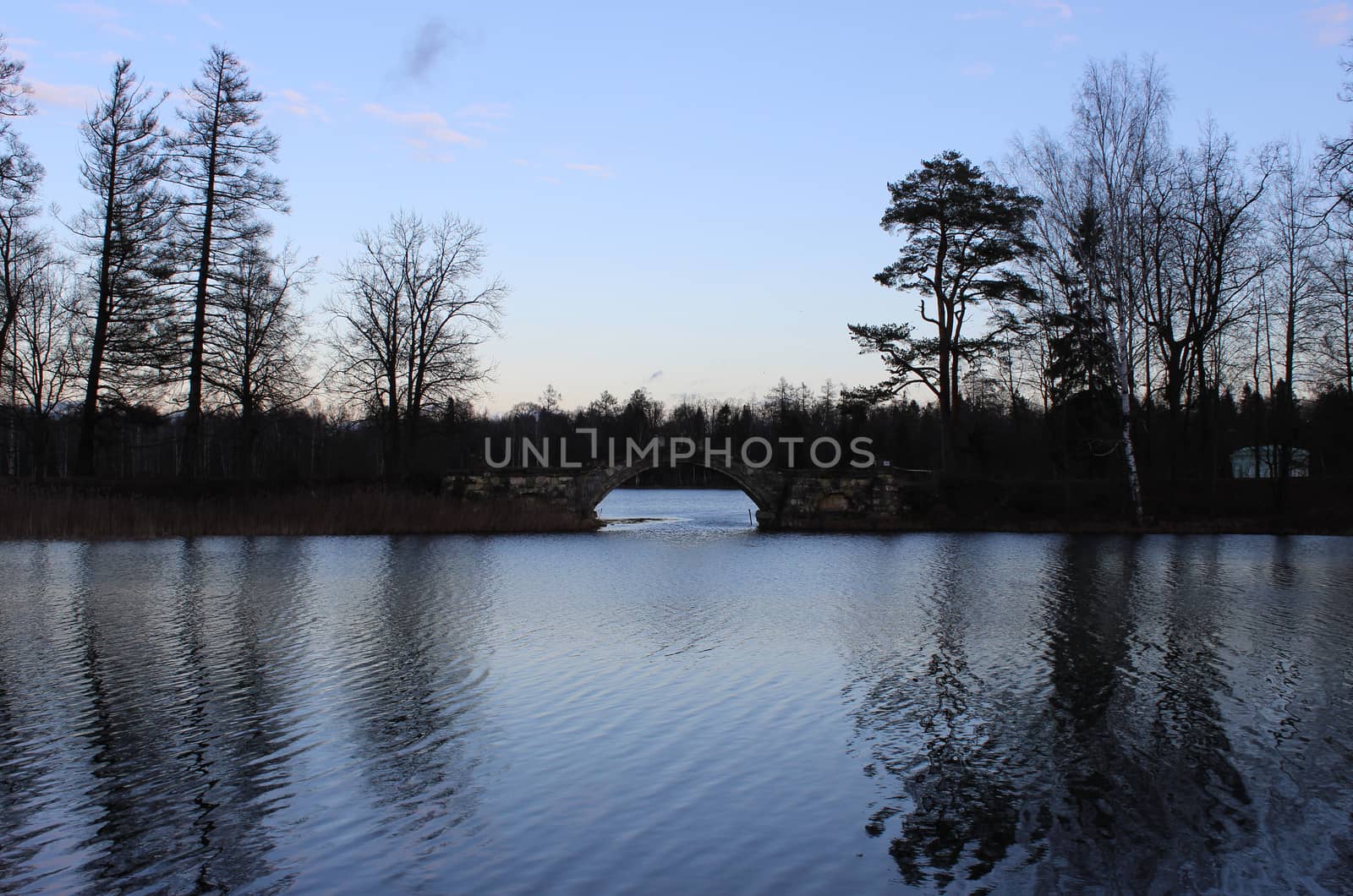 Humpback Bridge in Gatchina park, uniting the two islands and mirrored in White Lake. Leningrad region, December 2015