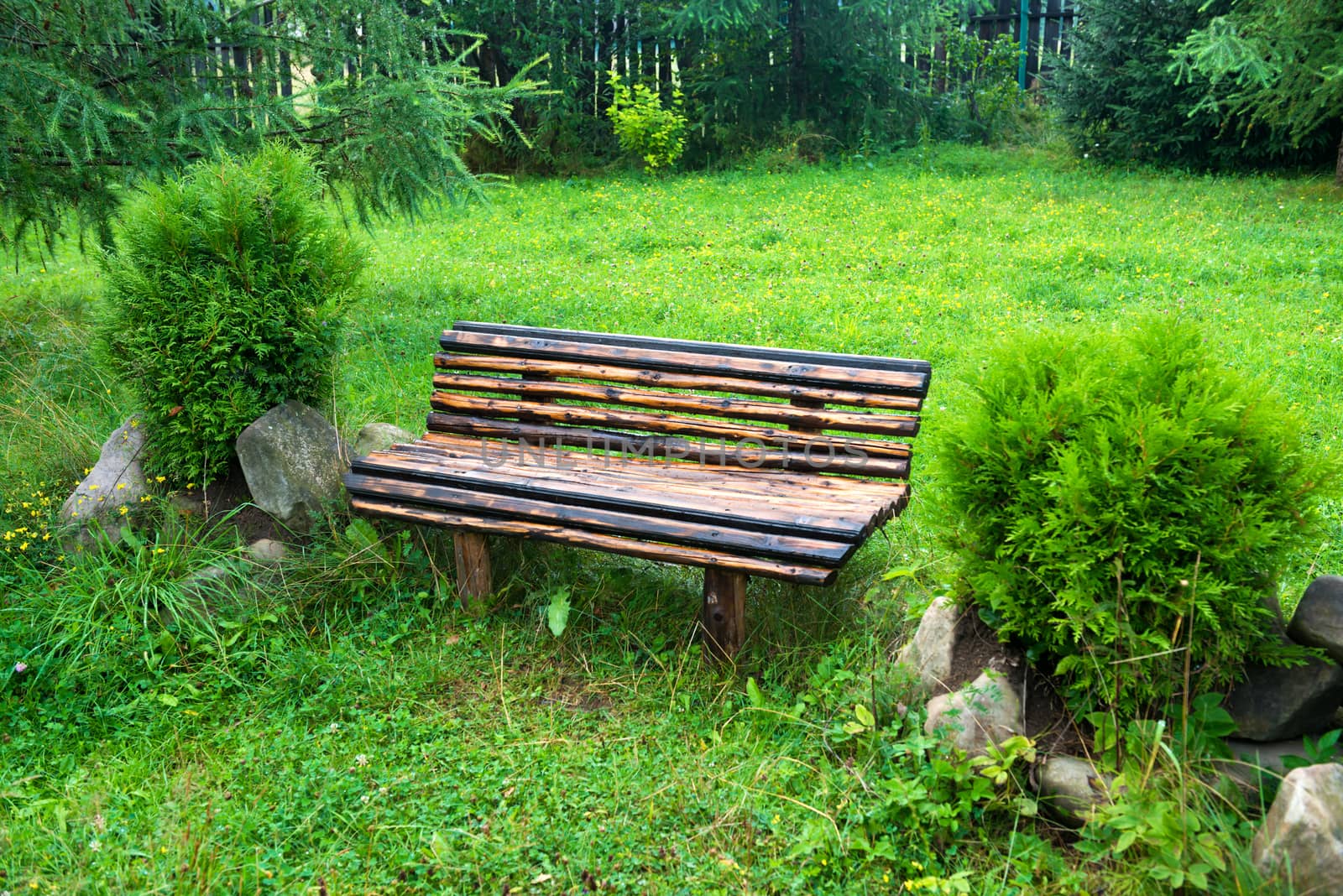 Wooden bench in the green park. Lawn with green grass