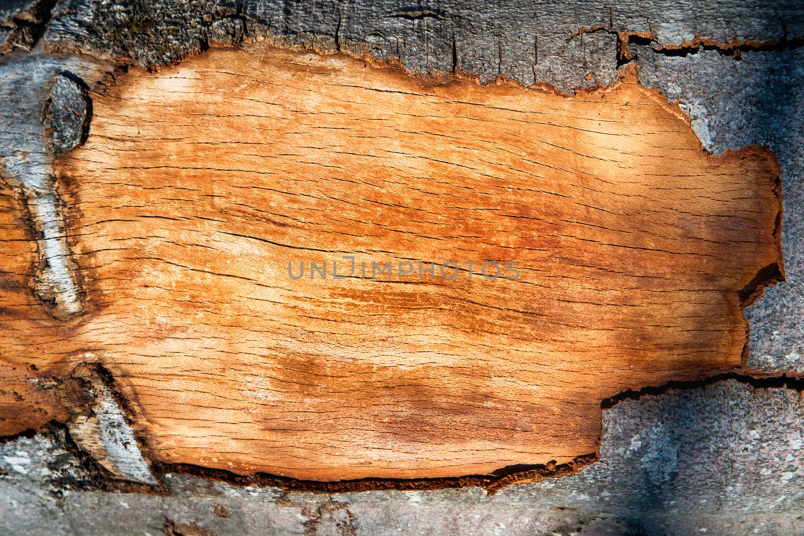 Wooden oak plank as a frame by vapi