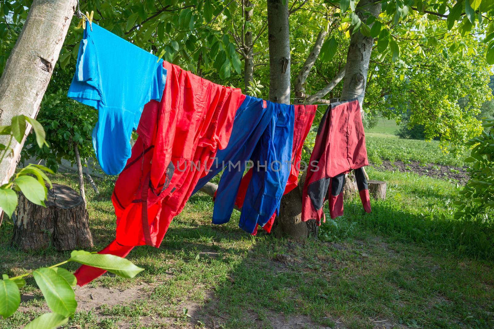Clothes hanging on line in garden by vapi