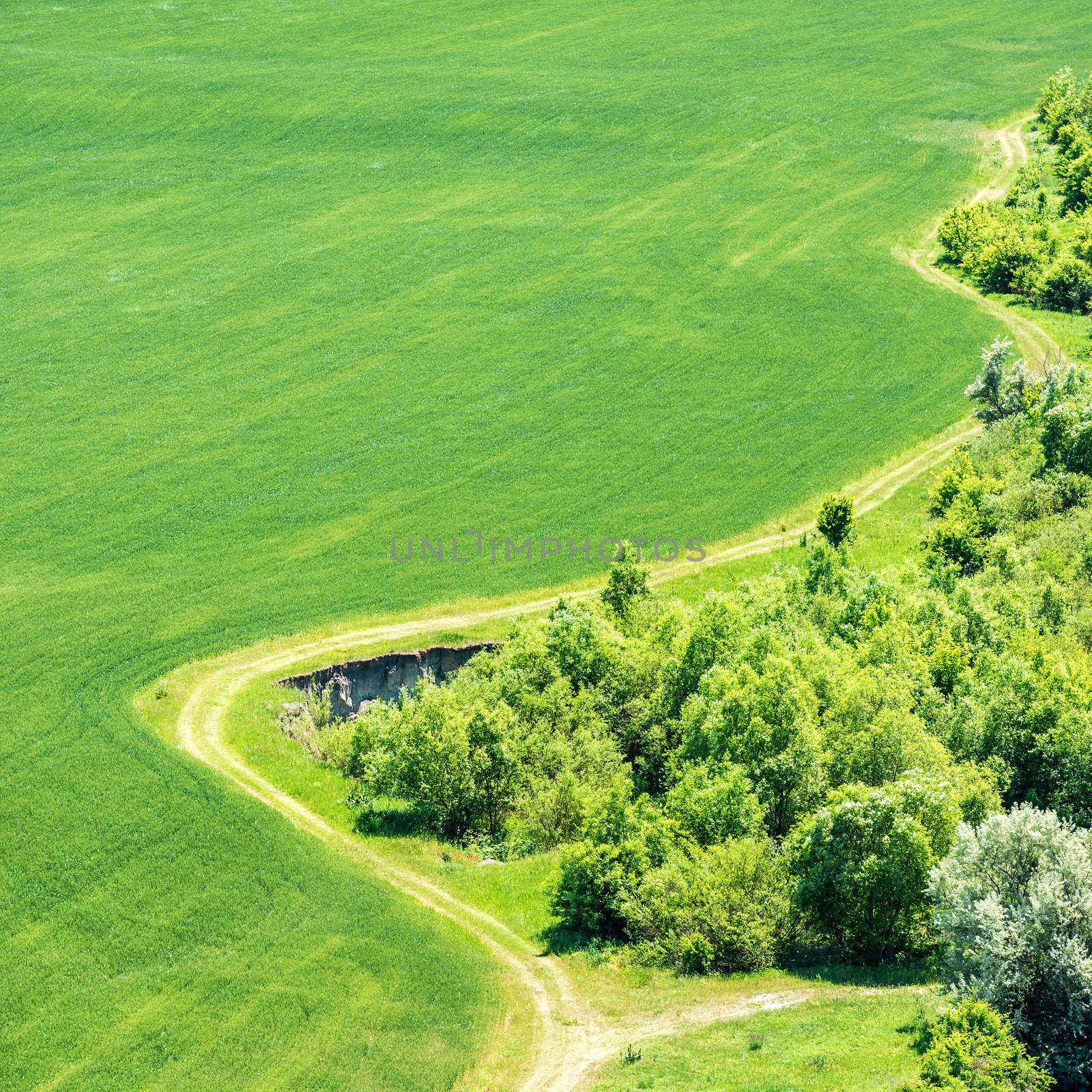 Landscape with green grass field with nearby forest and country road passing by. Aerial view