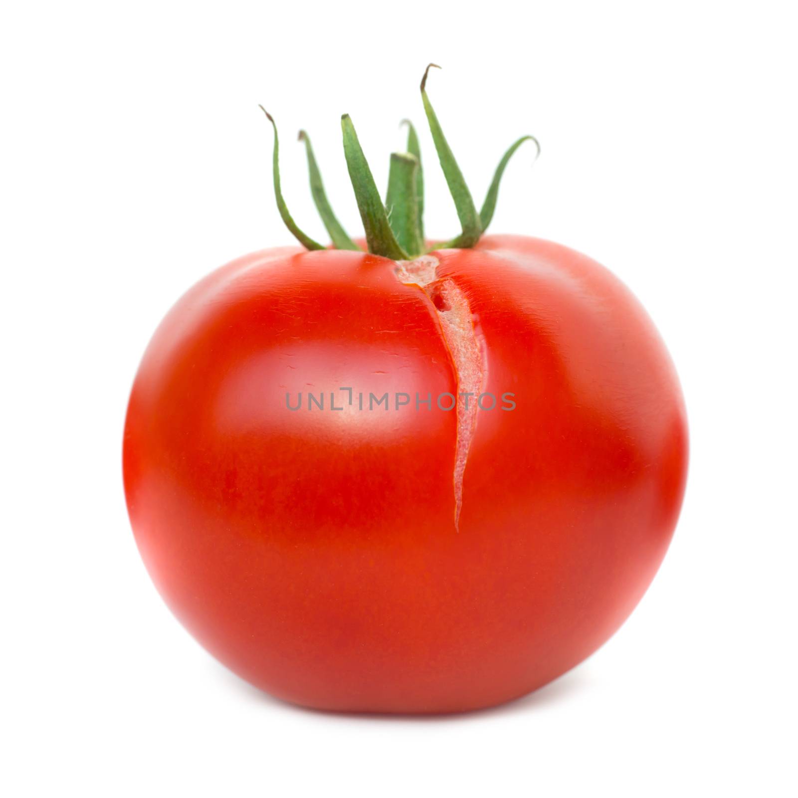 Red fresh tomato by vapi