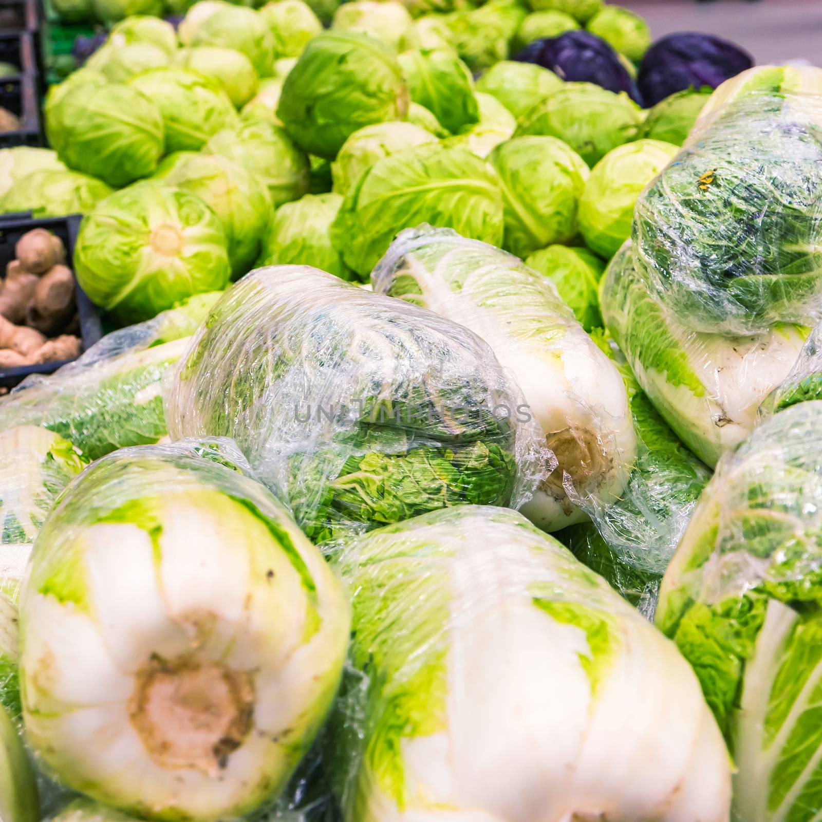 Fresh napa cabbage at farmers market