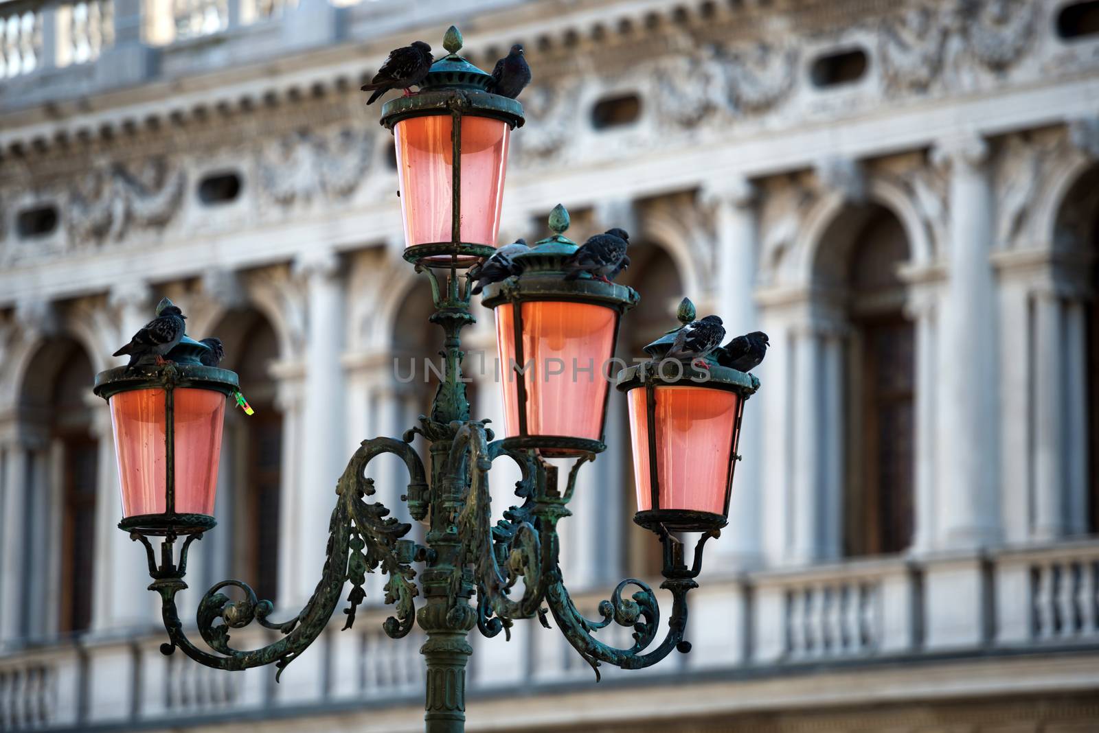 Lamp on Piazza San Marco (Saint Mark square) in Venice