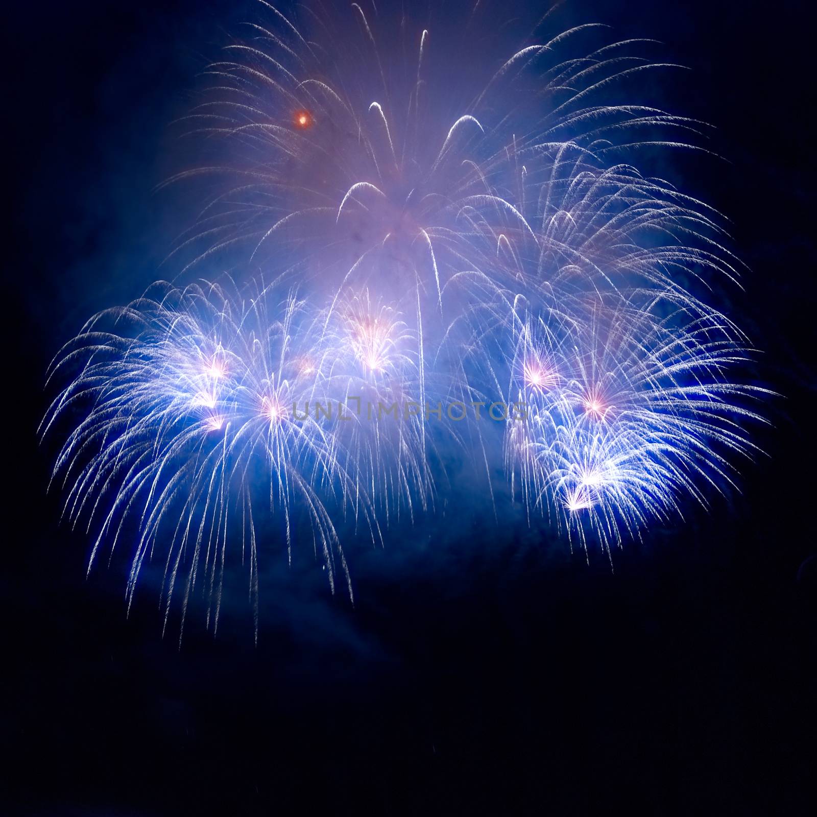 Beautiful colorful blue holiday fireworks on the black sky background