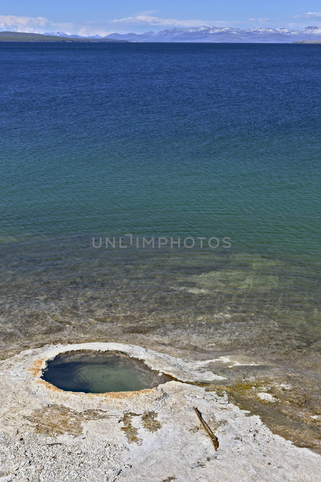 Giant Cone at the shore of Yellowstone Lake, West Thumb Geyser Basin, Yellowstone National Park