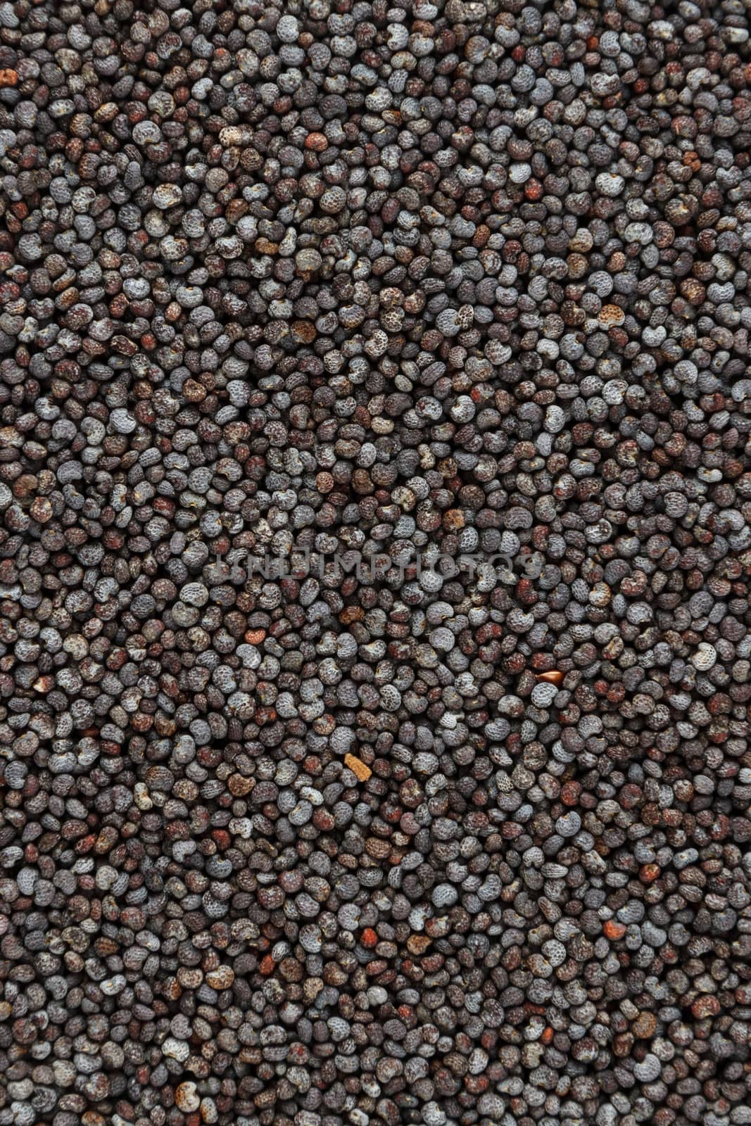 Close-up photograph of a spoonful of poppy seeds