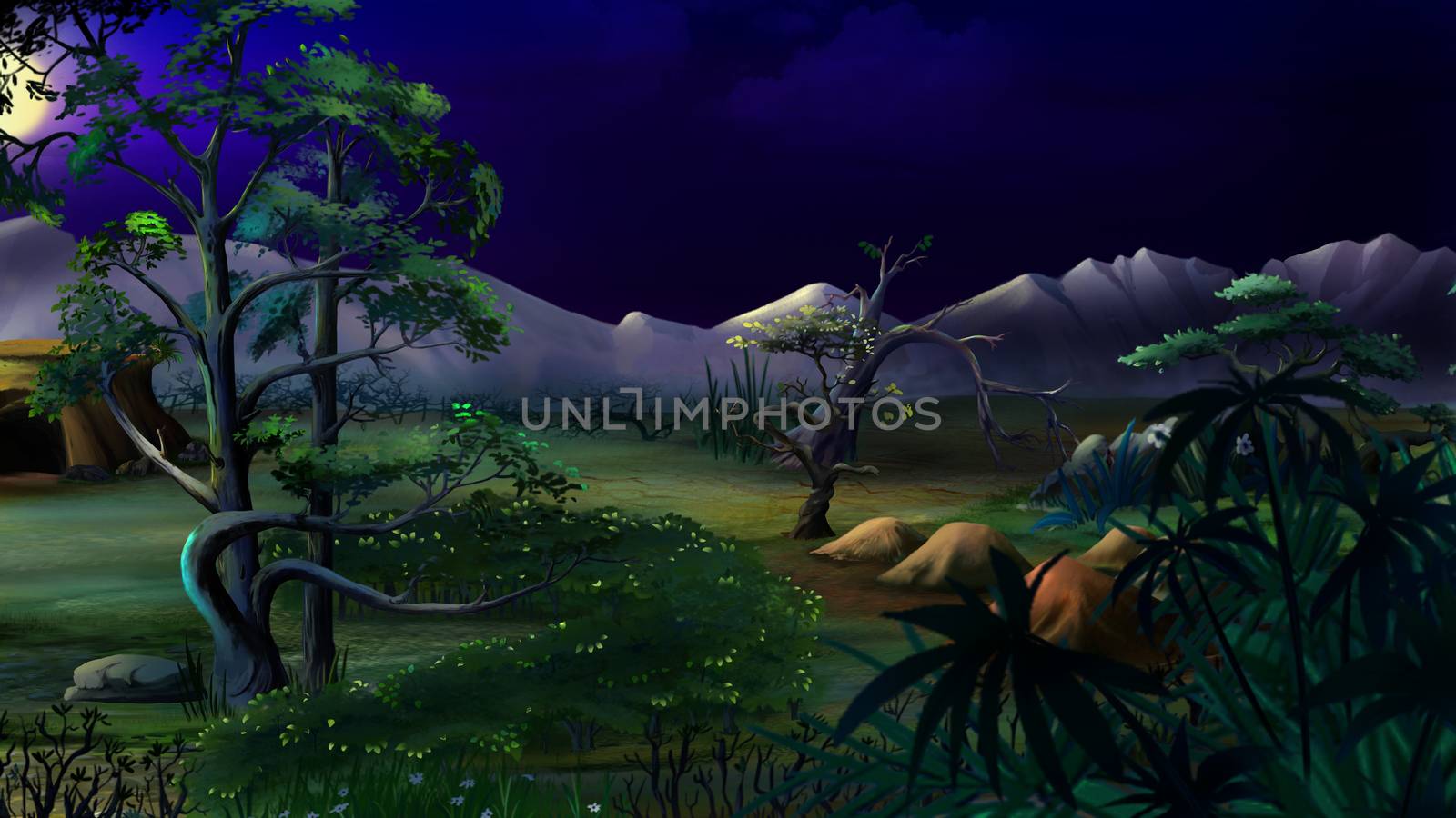 African Native Plants. Night View by Multipedia