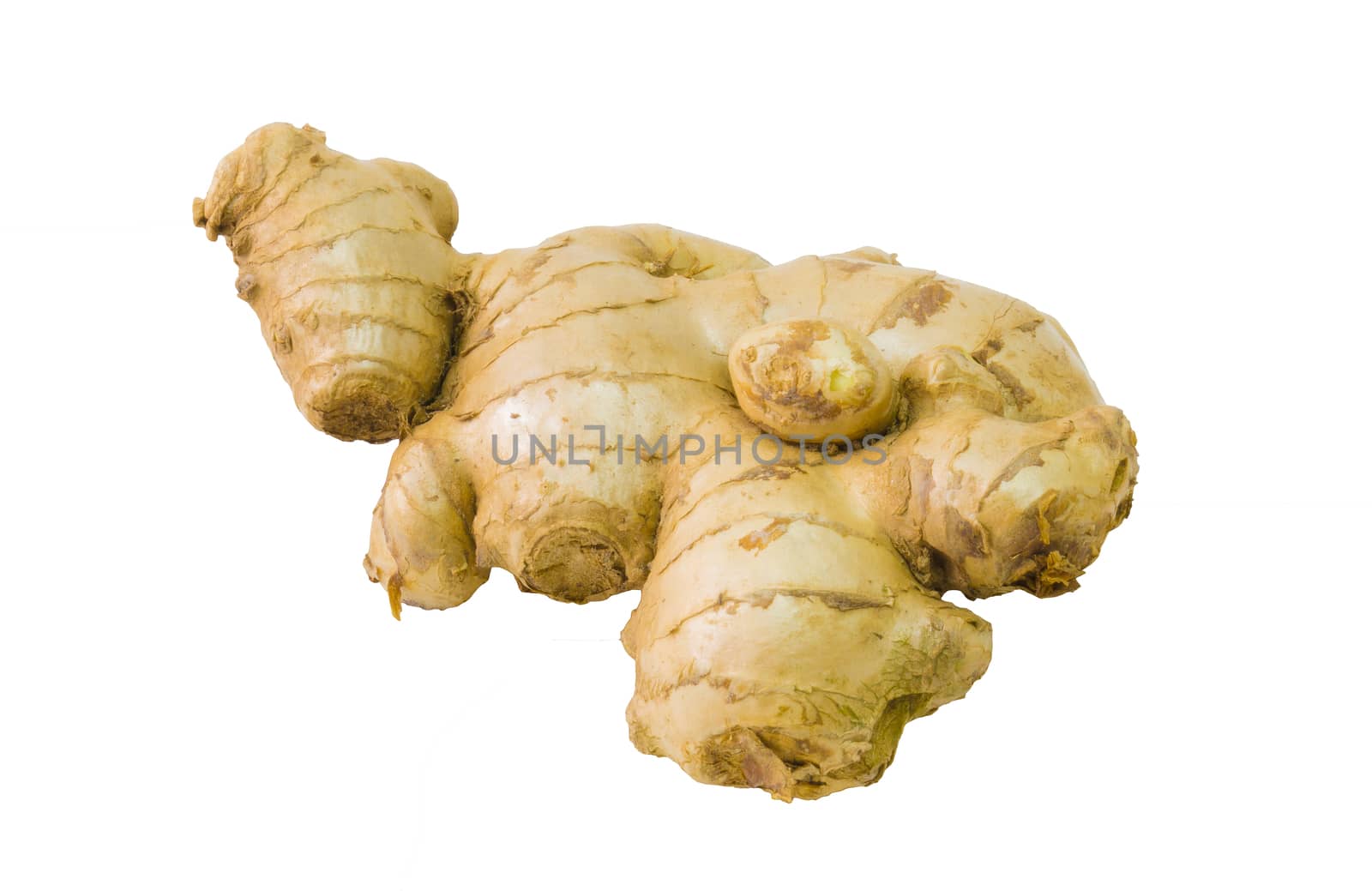 Fresh Ginger isolated on white background close up