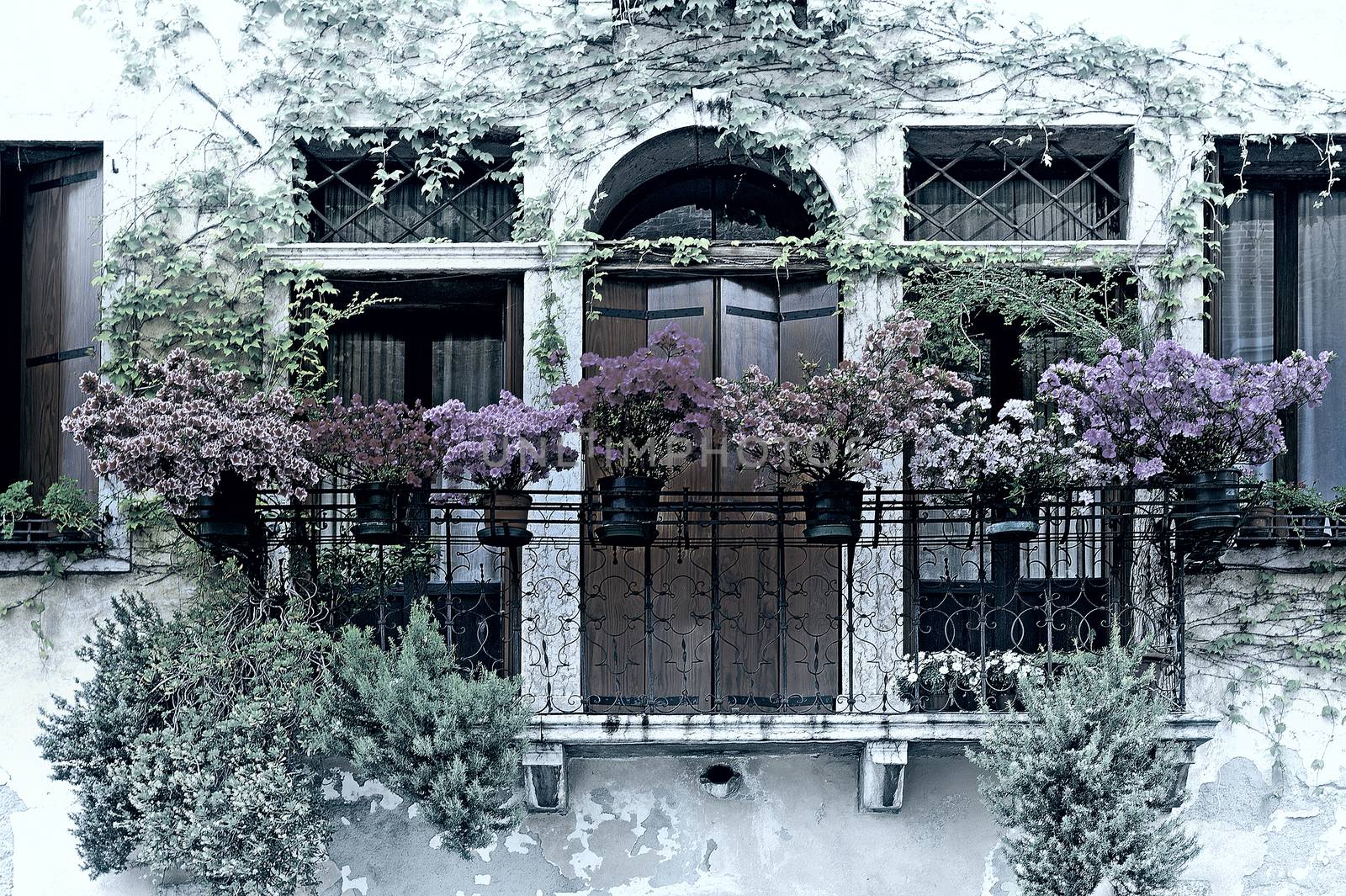 Italian Windows with Balcony, Decorated With Fresh Flowers, Vintage Style Toned Picture