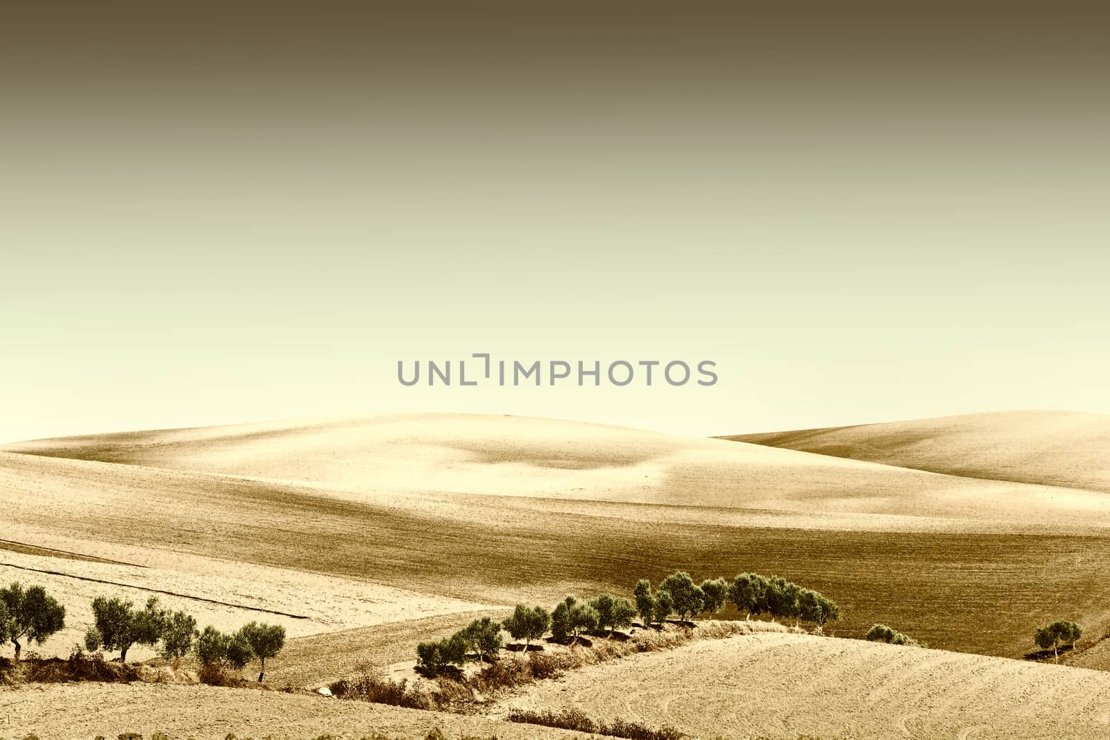 Plowed Sloping Hills of Spain in the Autumn, Vintage Style Toned Picture