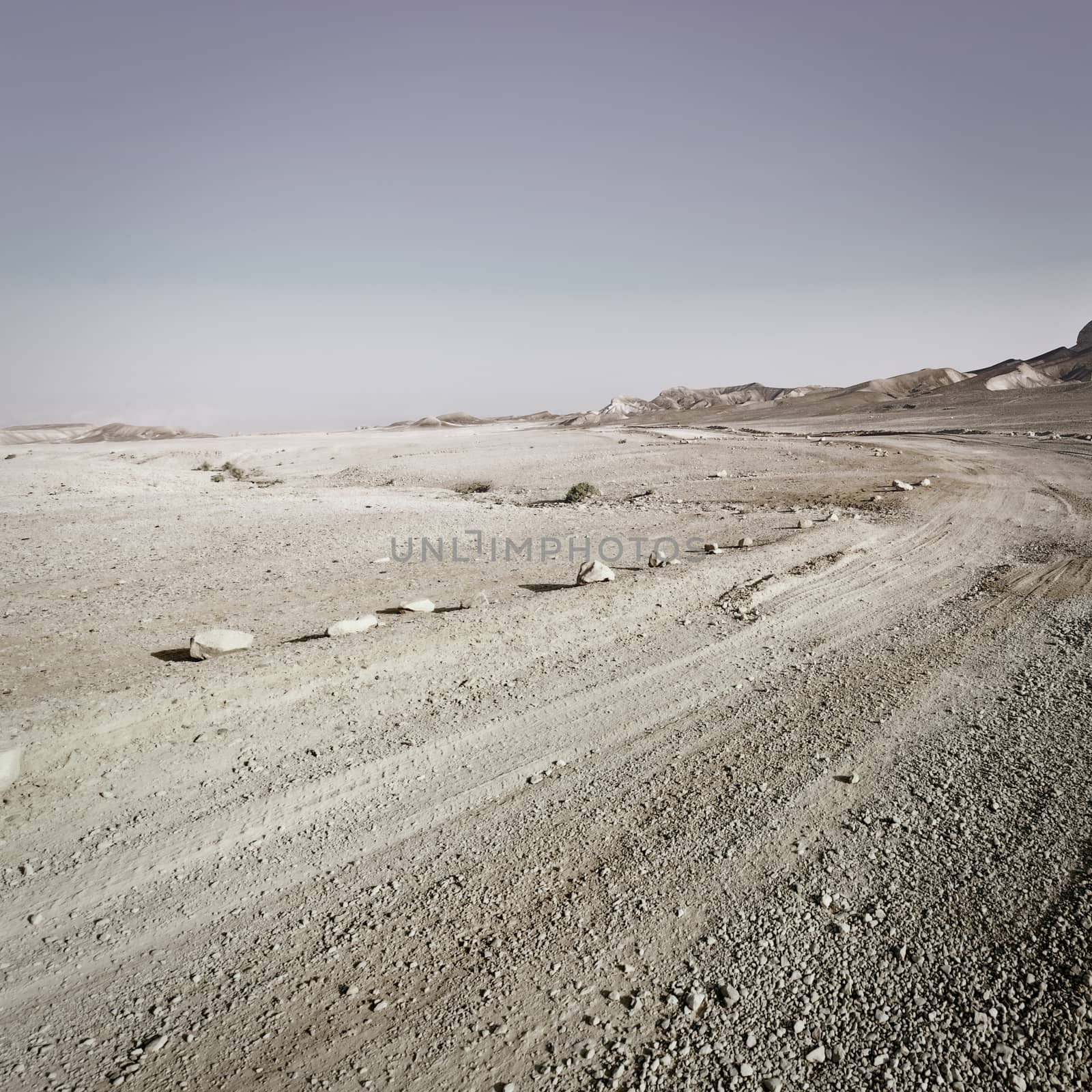 Road in Desert by gkuna
