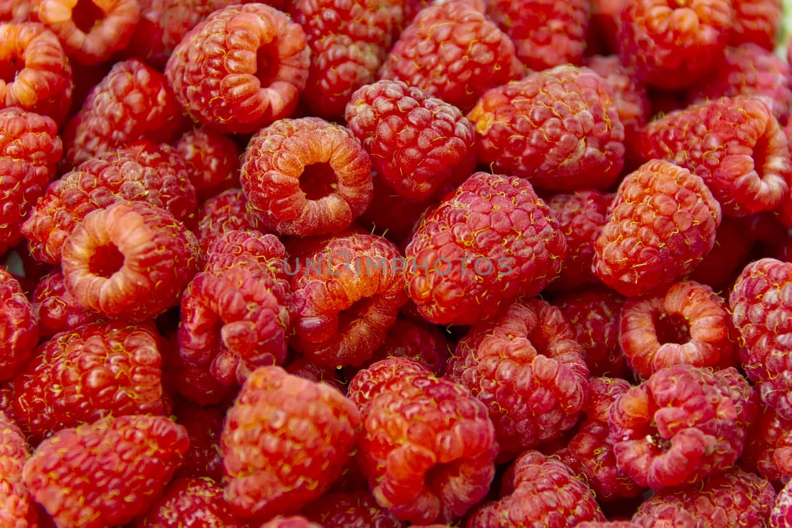 Photo of the background fresh red raspberry