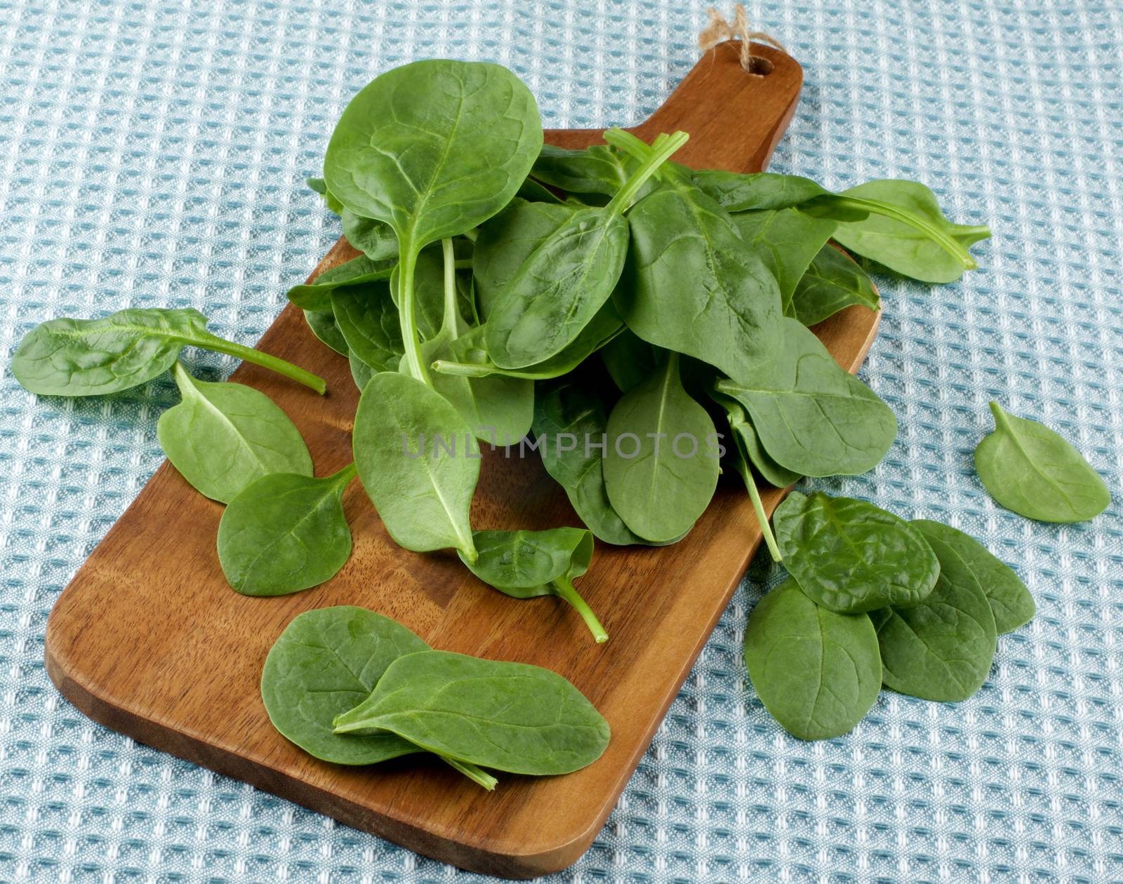 Arrangement of Fresh Raw Spinach Leafs on Wooden Cutting Board closeup on Blue Napkin background