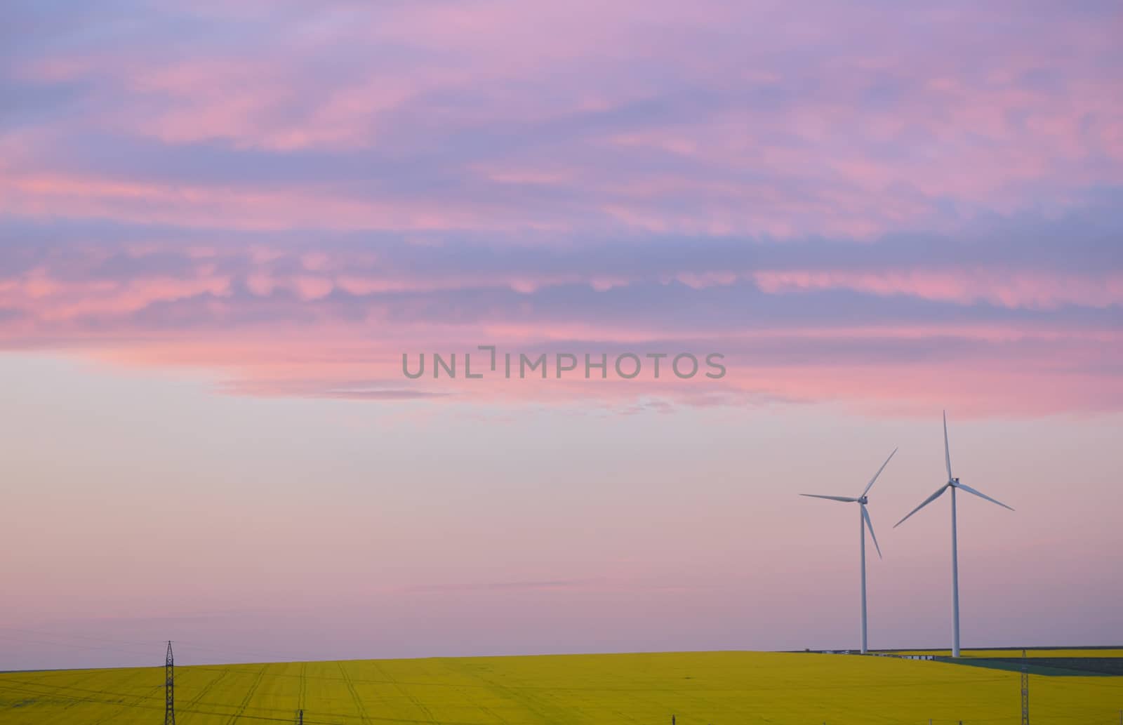 Aeolian field and wind turbines at sunset