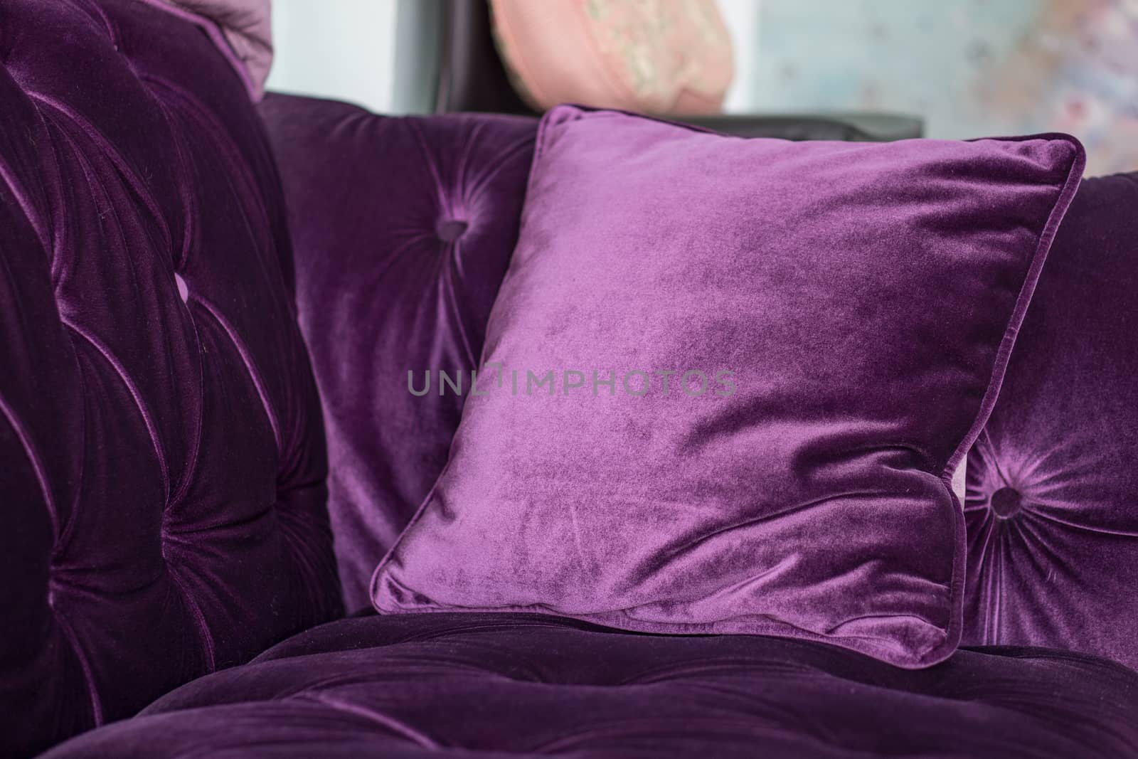 One Purple velvet pillows on the sofa