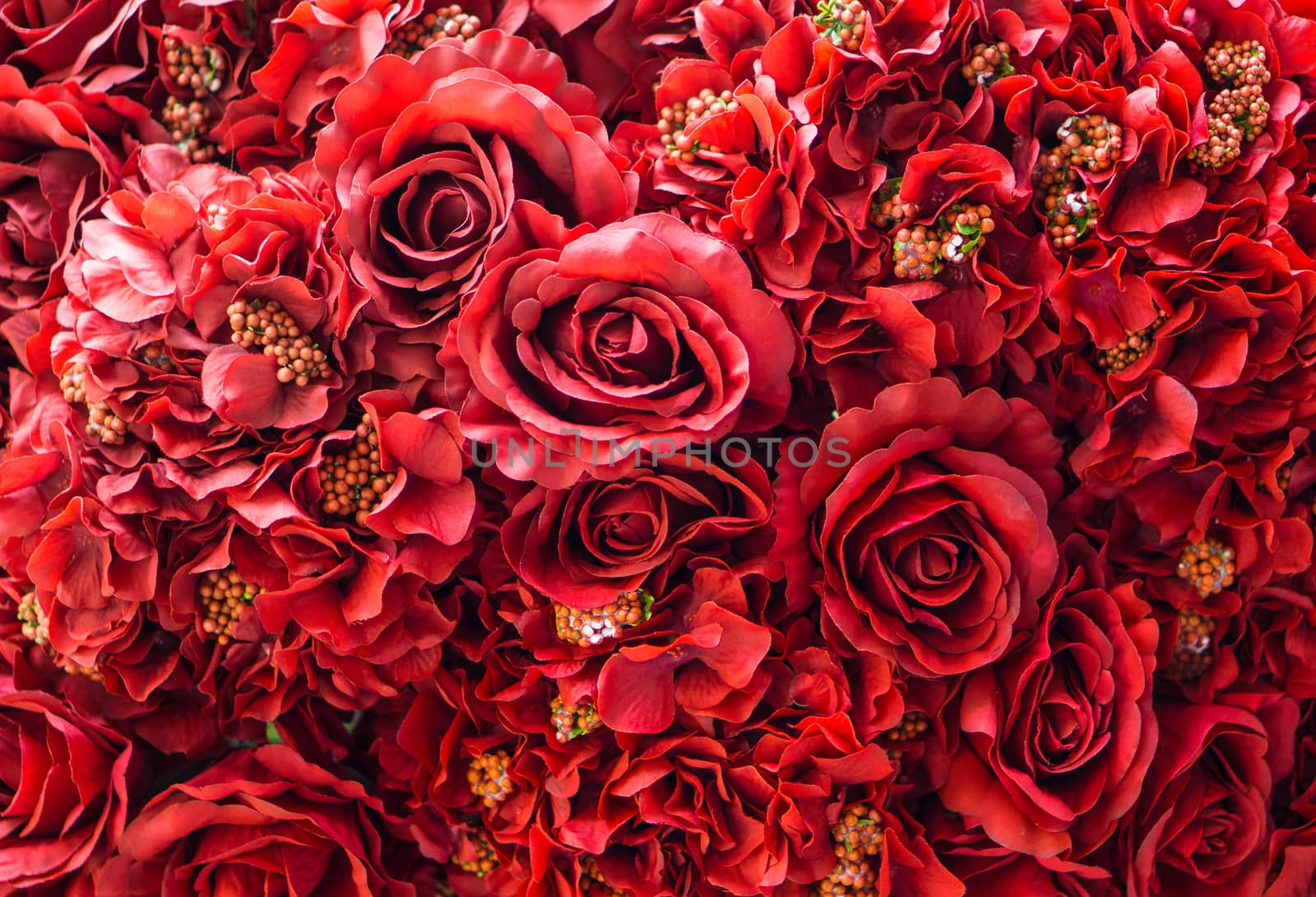 Many of Red roses flowers background by pkproject