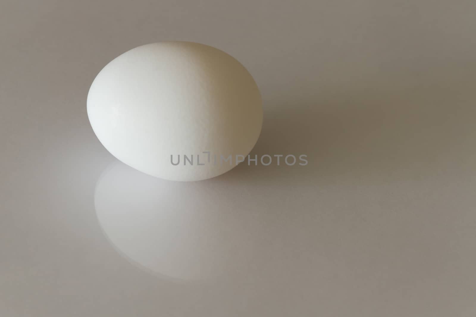 A single egg against a light background