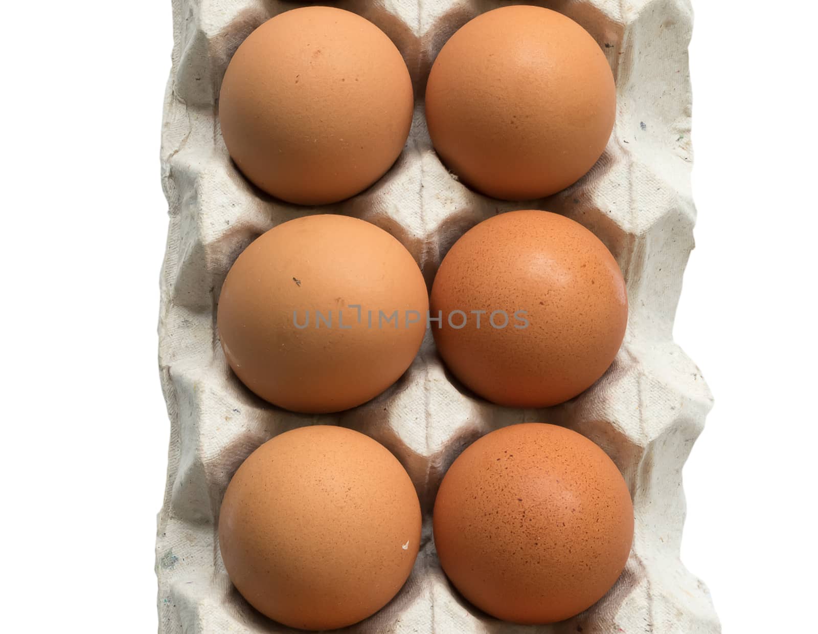 6 egg foam panels on a white background by suthee