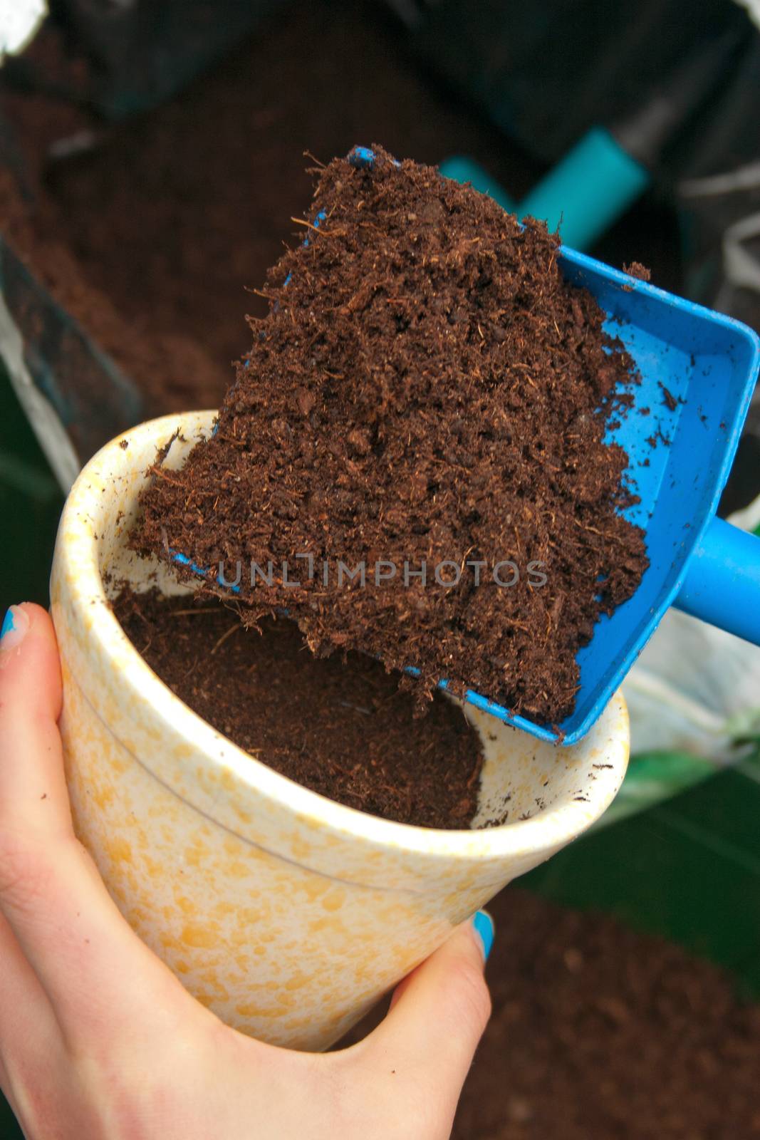Prepare for seeding in pots during spring time