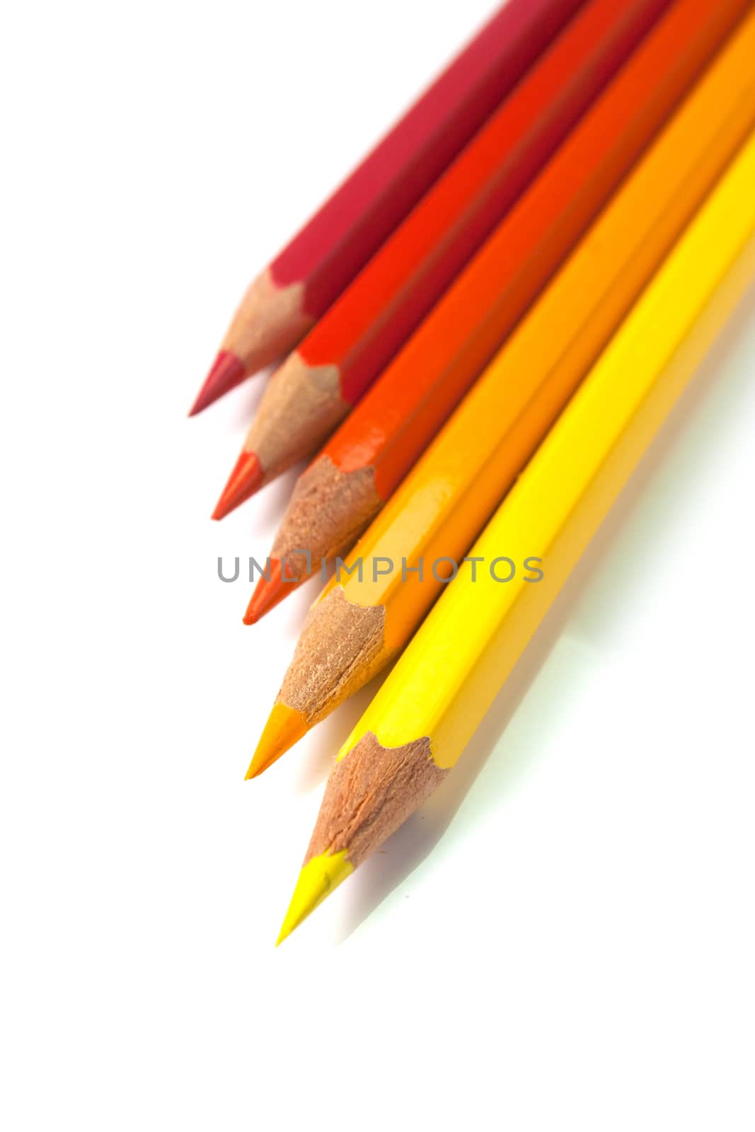 An assortment of orange color pencils on white background
