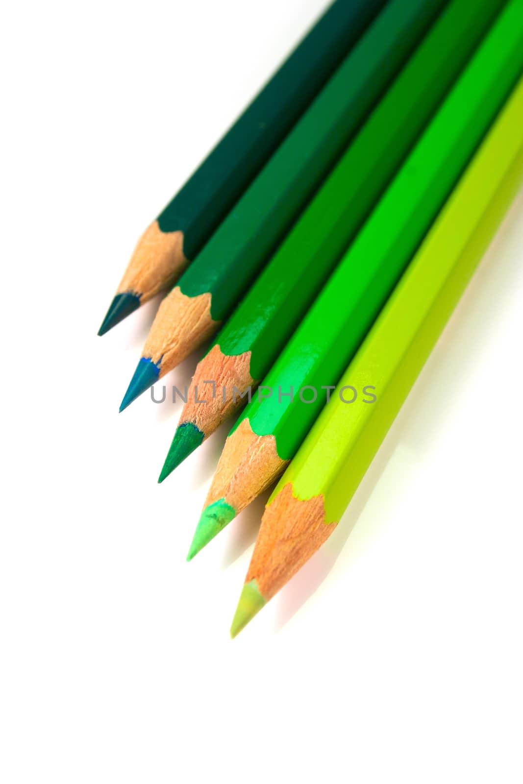An assortment of green color pencils on white background