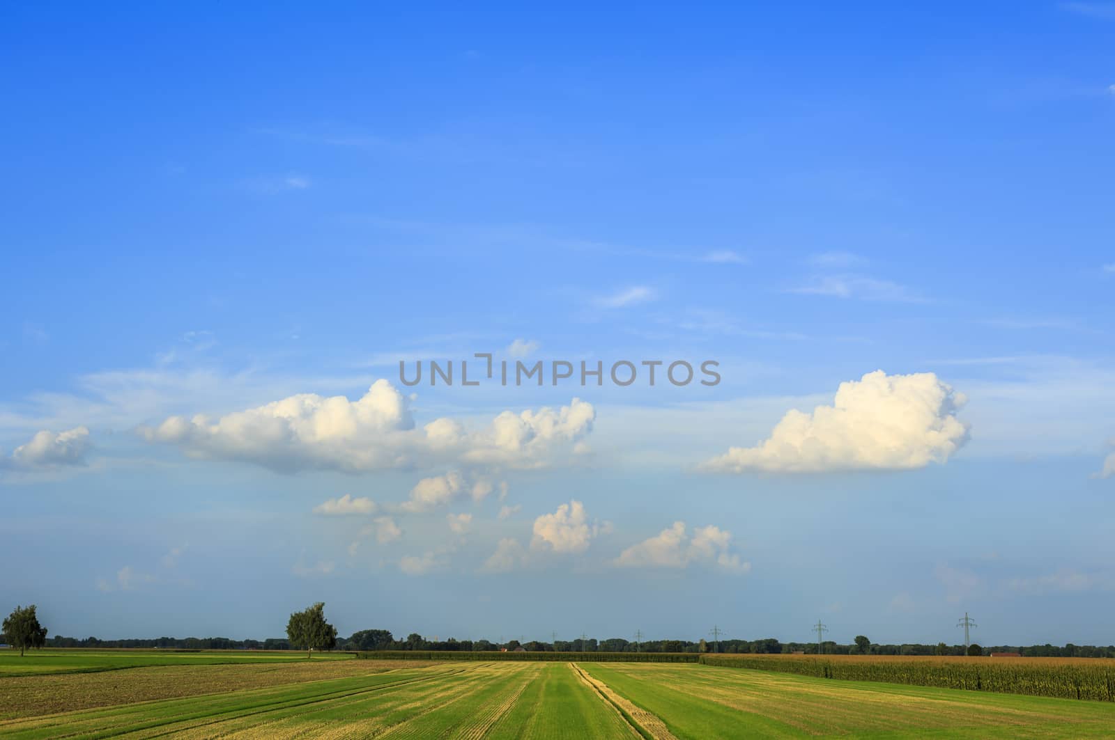 View over fields and meadows after harvesting, grassland and corn field, blue sky with some white clouds, trees and bushes on the horizon