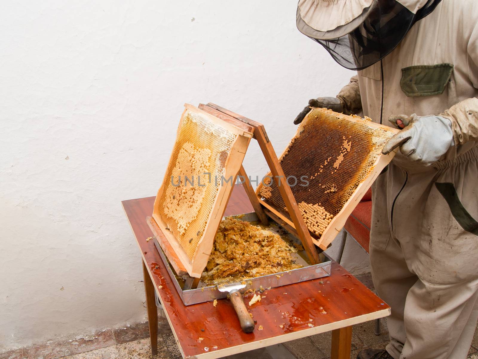 The beekeepers work. by dadalia