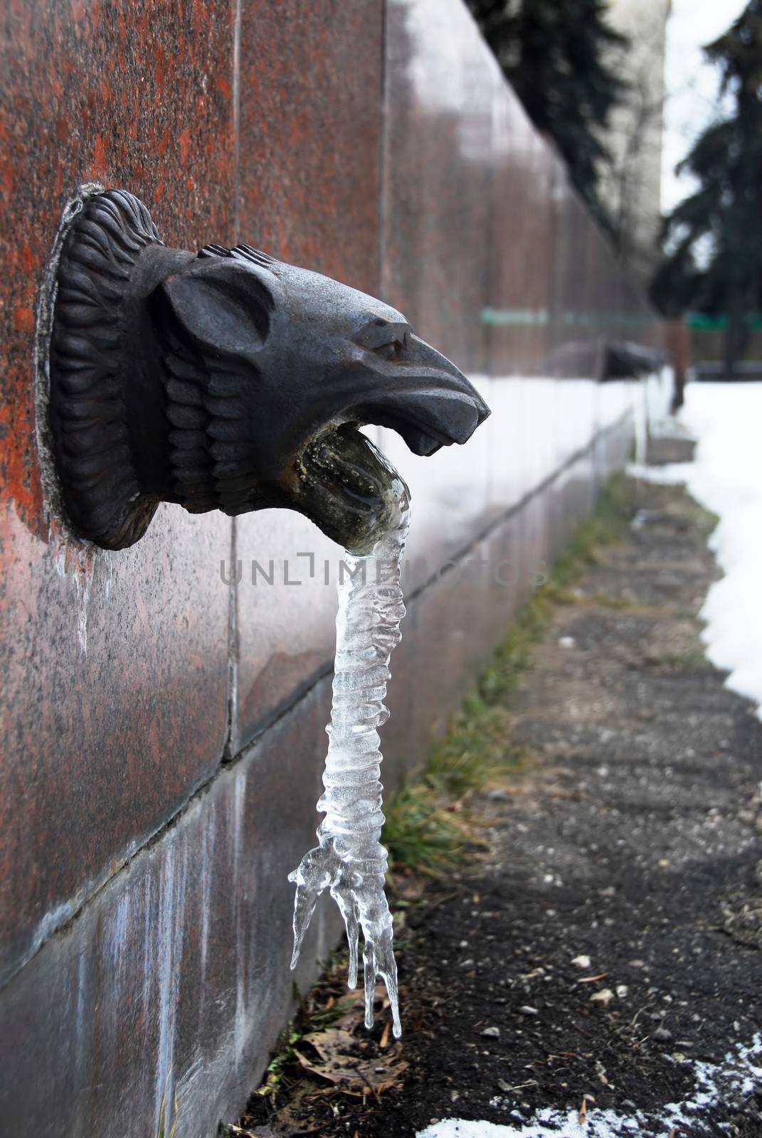 decorative let-off  as an animal metallic black head with ice at winter, architecture detail, fence of  the Moscow state university building