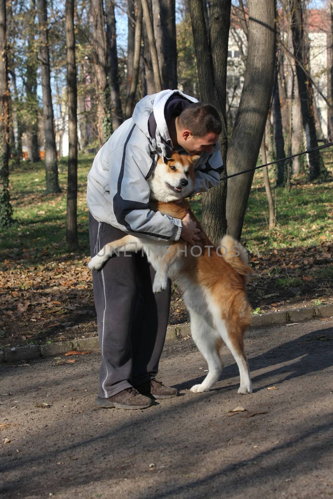 Joyful and happy Akita Inu meeting its friend in public park