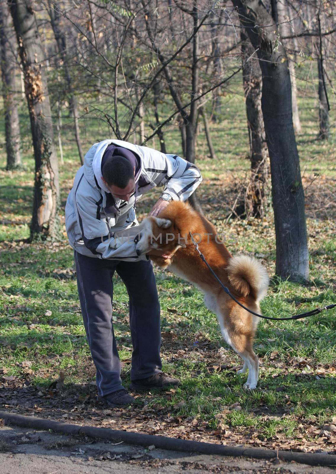 Man and joyful dog in public park by tdjoric