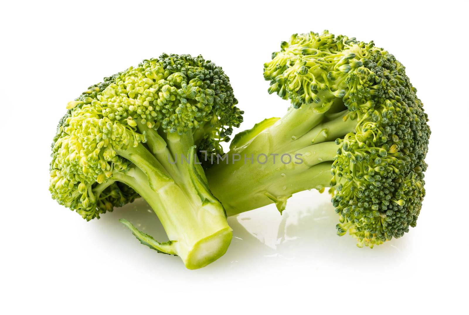 the broccoli close-up isolated on white background
