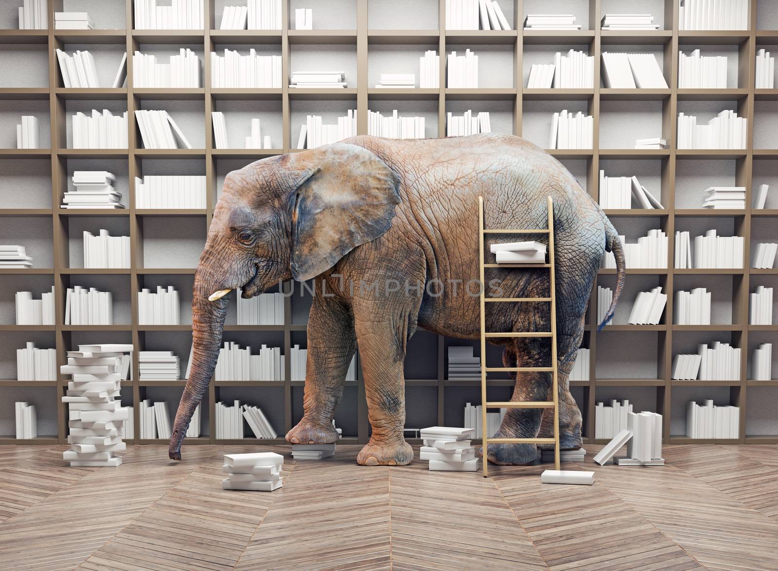 an elephant  in the room with book shelves. Creative concept