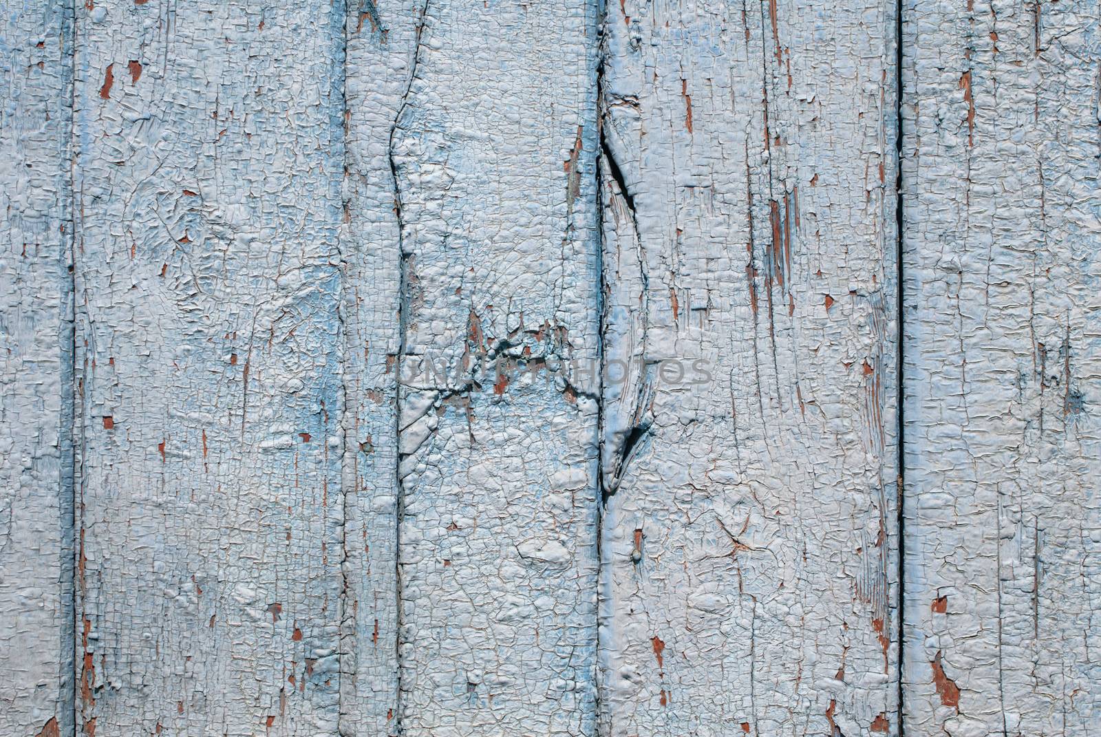 the door of planks, chipped old paint, which has long been under the influence of various climatic conditions