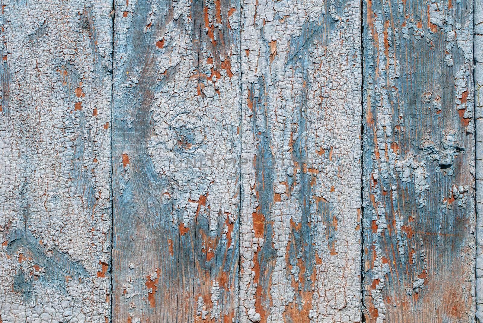 the door of planks, chipped old paint, which has long been under the influence of various climatic conditions