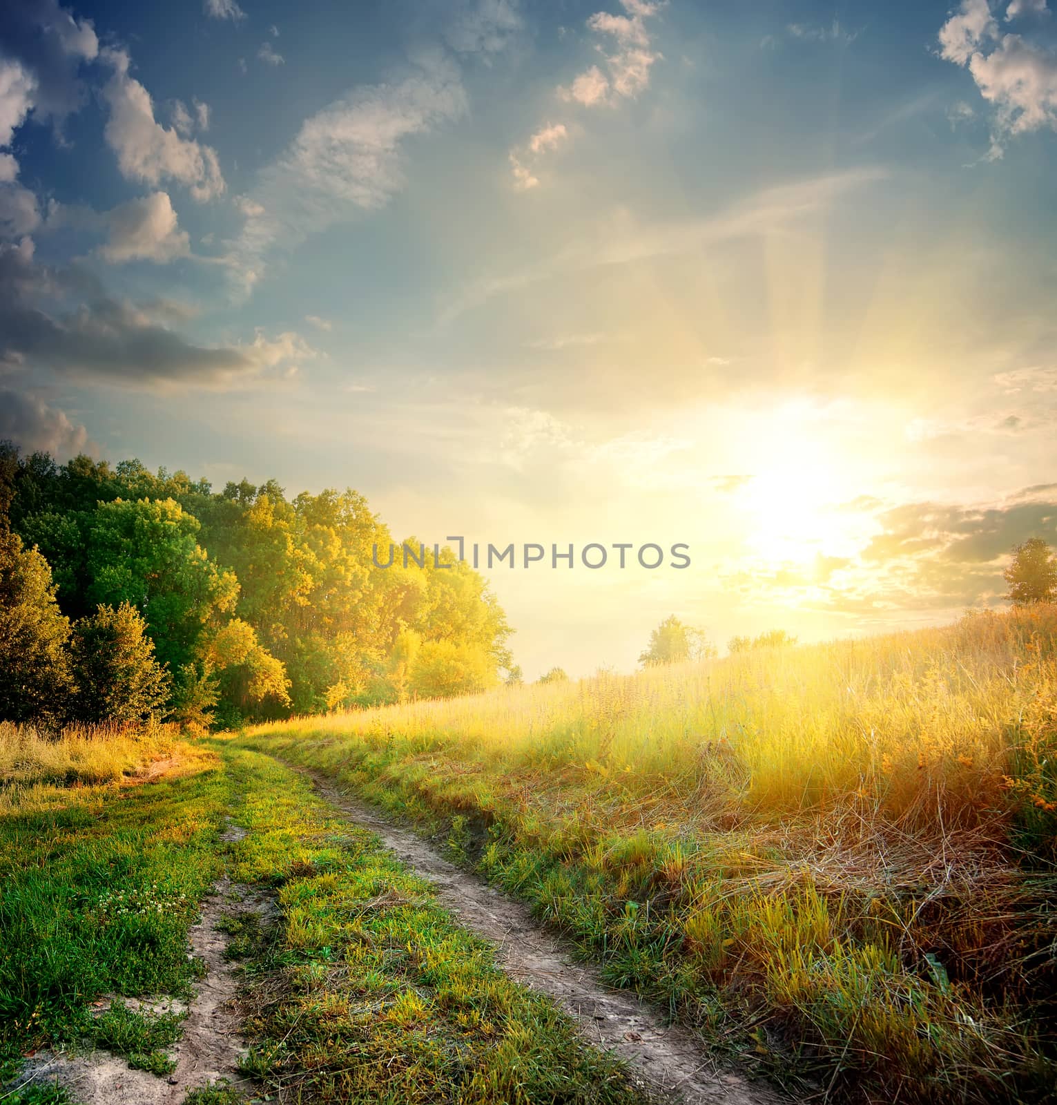 Sunbeams and country road by Givaga