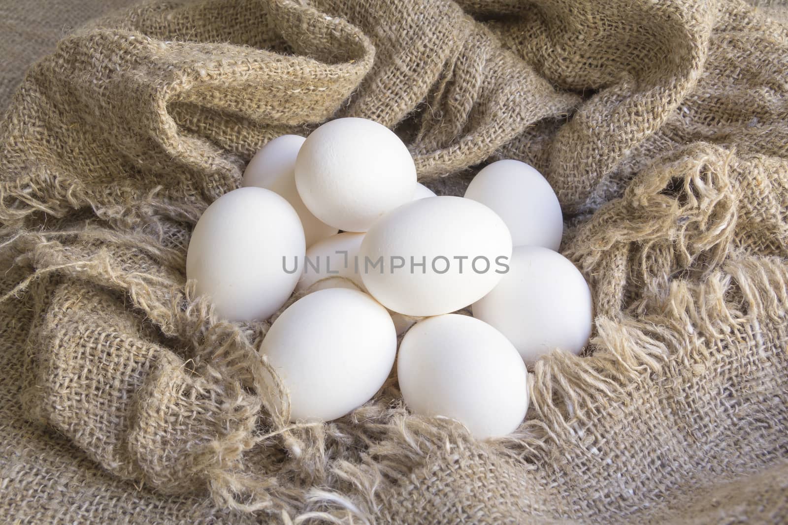 close-up white eggs on a Brown canvas