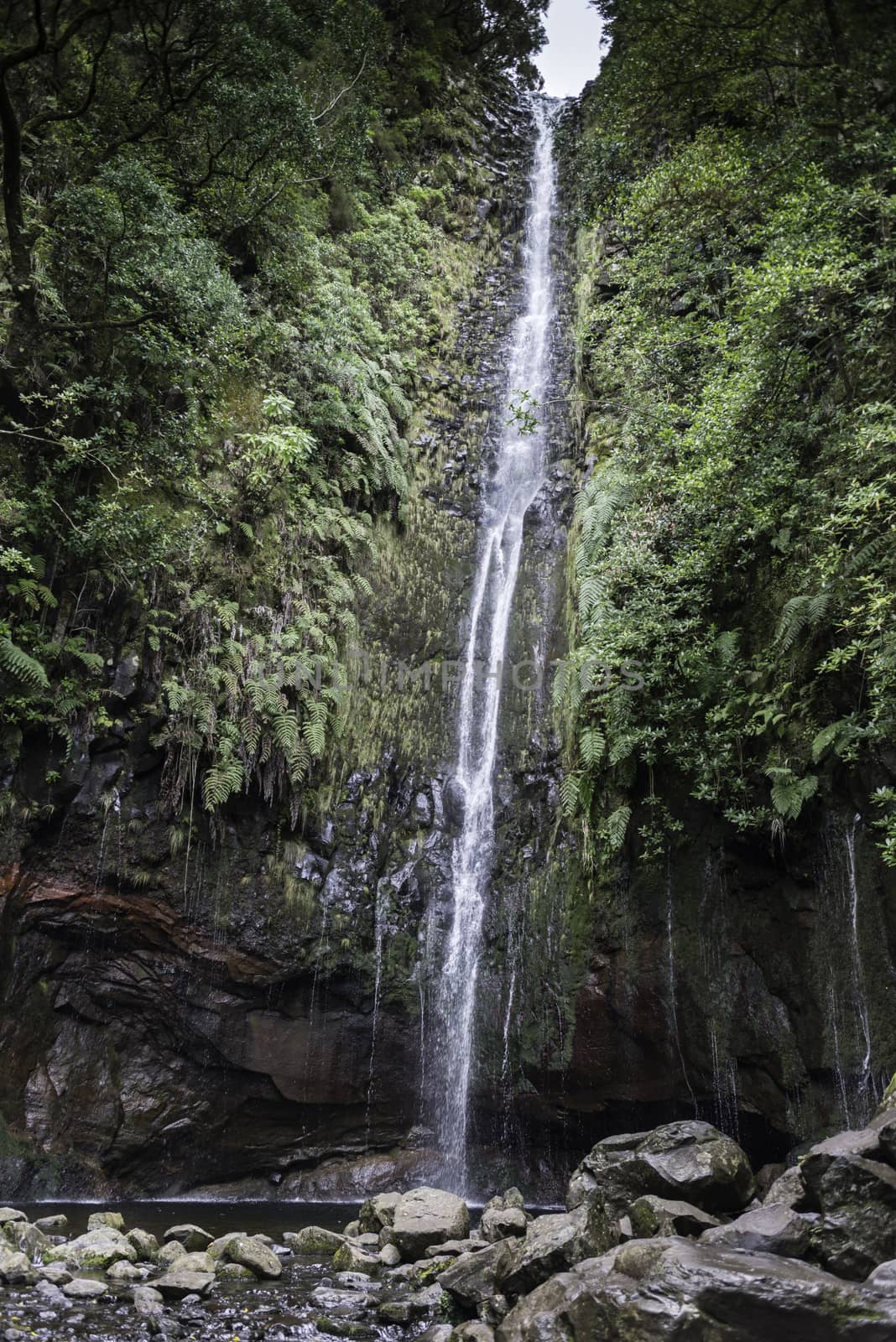 waterfall on madeira island on levada das 25 fontes tracking in wild nature