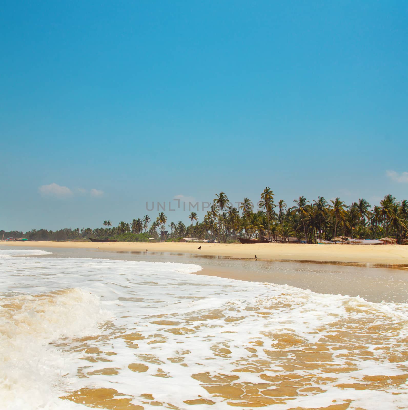 Kolva, India - April 20, 2016: Goan beach panorama with sea, fisherman boats and palms