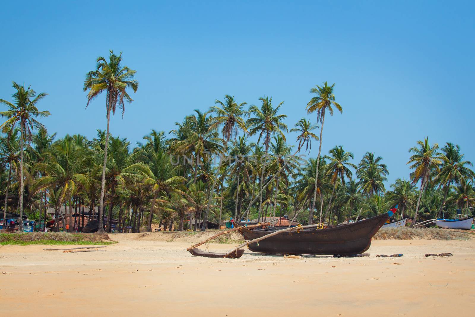 Kolva, India - April 20, 2016: Goan beach panorama with sand, fisherman boats and palms