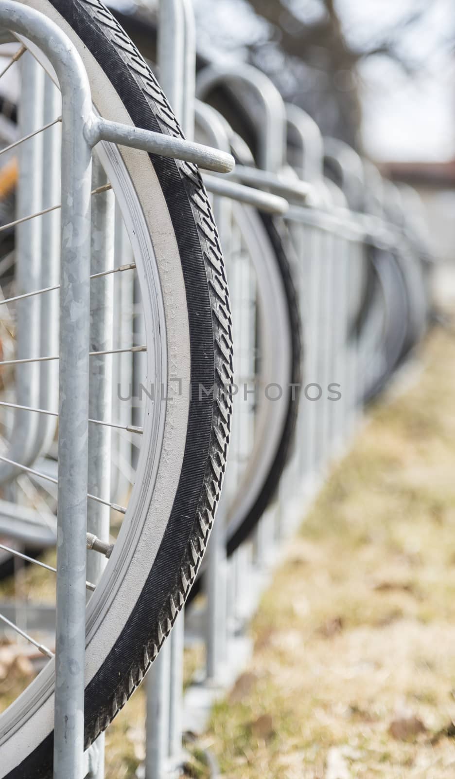 Bicycle in Bicycle Stand close up.