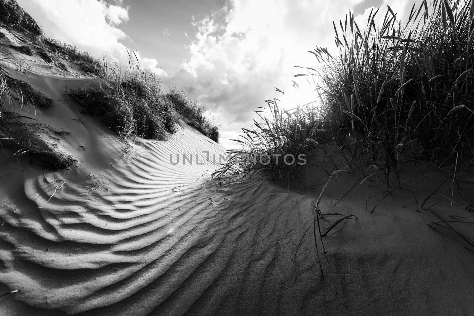 Day in the dunes by patricklienin